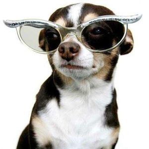 Meet your Posher, Roger